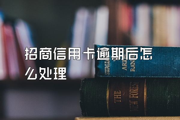 招商信用卡逾期后怎么处理