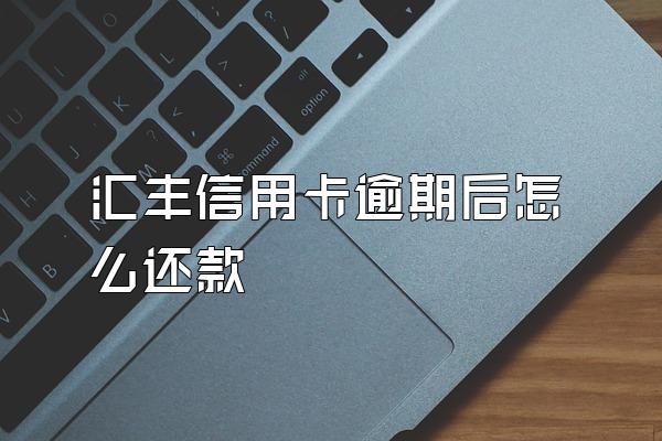 汇丰信用卡逾期后怎么还款