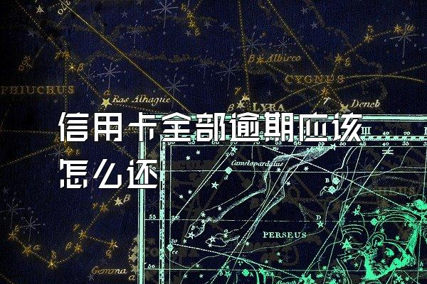 信用卡全部逾期应该怎么还