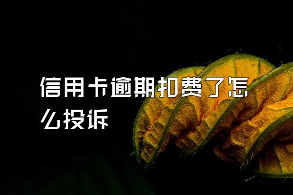 信用卡逾期扣费了怎么投诉