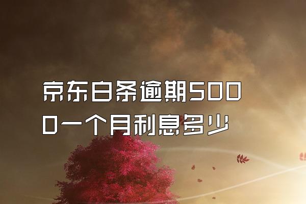 京东白条逾期5000一个月利息多少