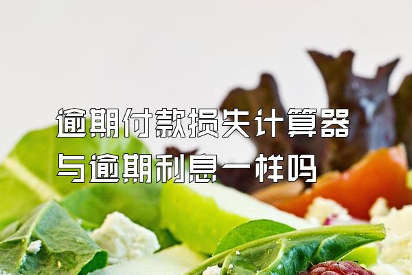 逾期付款损失计算器与逾期利息一样吗