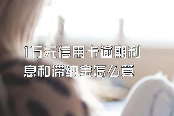 1万元信用卡逾期利息和滞纳金怎么算