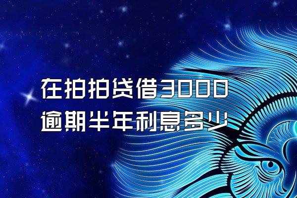 在拍拍贷借3000逾期半年利息多少