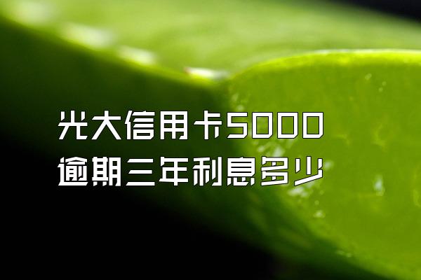 光大信用卡5000逾期三年利息多少