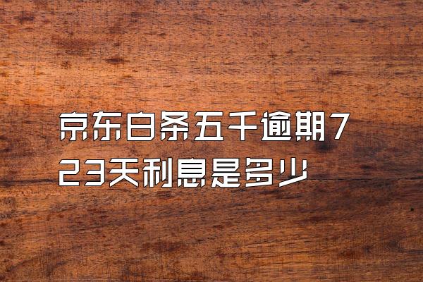 京东白条五千逾期723天利息是多少