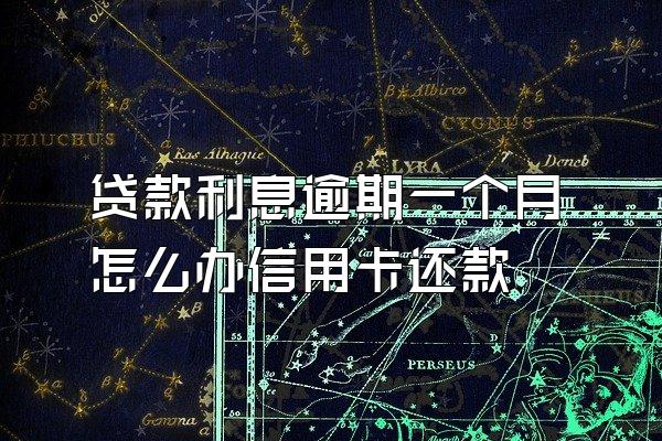 贷款利息逾期一个月怎么办信用卡还款