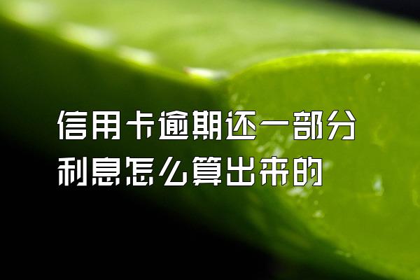 信用卡逾期还一部分利息怎么算出来的