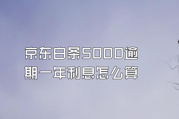 京东白条5000逾期一年利息怎么算