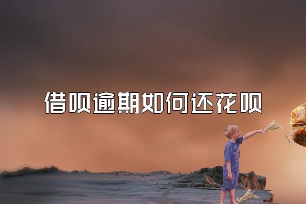 借呗逾期如何还花呗