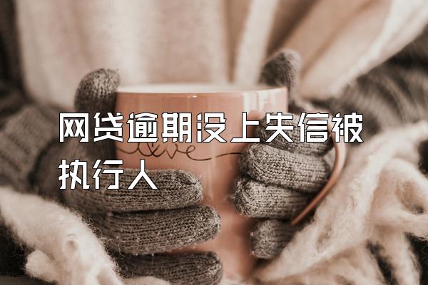 网贷逾期没上失信被执行人