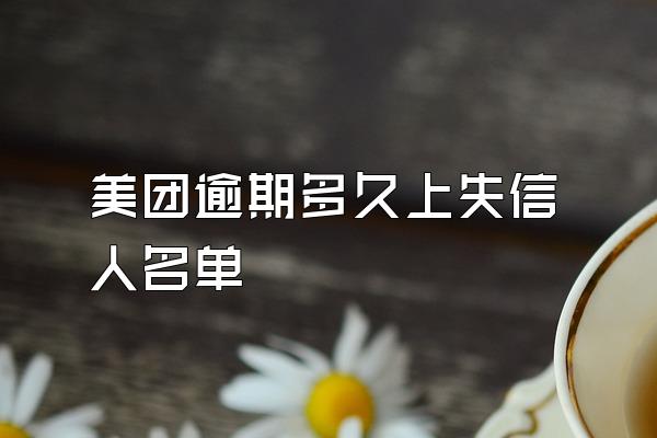 美团逾期多久上失信人名单