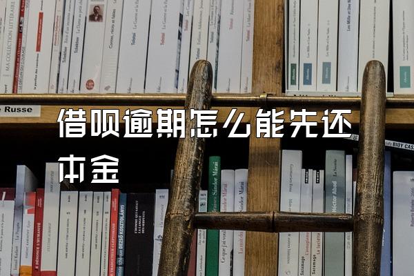 借呗逾期怎么能先还本金