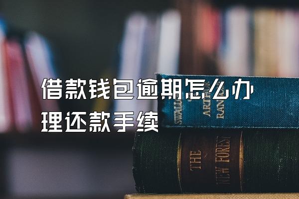 借款钱包逾期怎么办理还款手续