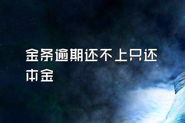 金条逾期还不上只还本金