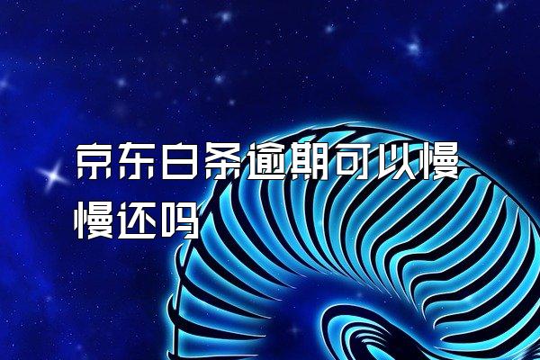 京东白条逾期可以慢慢还吗