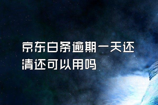 京东白条逾期一天还清还可以用吗