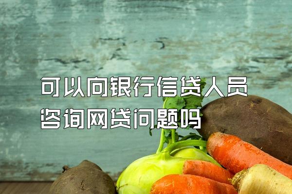 可以向银行信贷人员咨询网贷问题吗