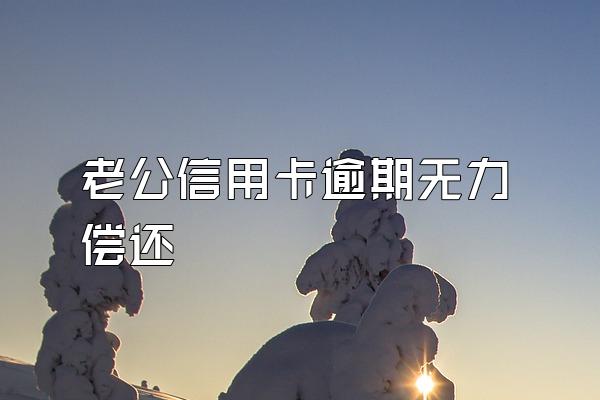 老公信用卡逾期无力偿还