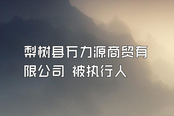 梨树县万力源商贸有限公司 被执行人