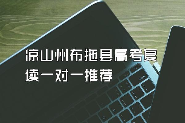 凉山州布拖县高考复读一对一推荐