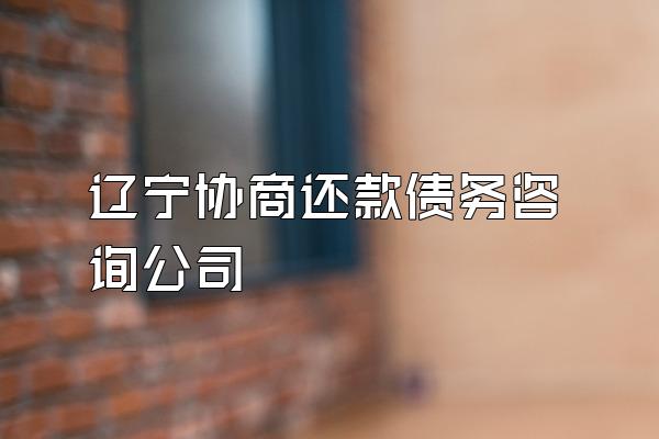 辽宁协商还款债务咨询公司