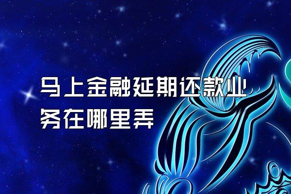 马上金融延期还款业务在哪里弄