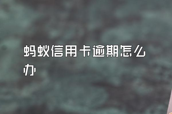 蚂蚁信用卡逾期怎么办