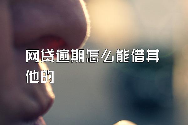 网贷逾期怎么能借其他的