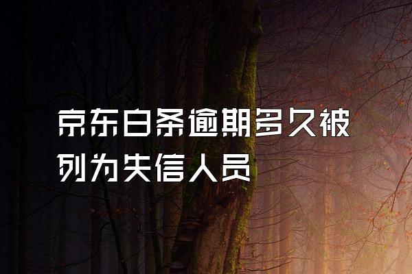 京东白条逾期多久被列为失信人员