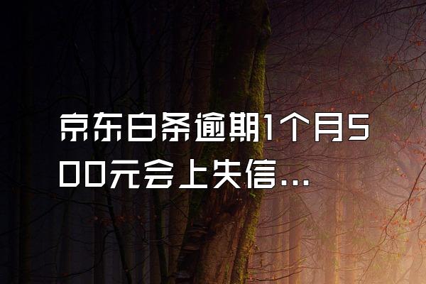 京东白条逾期1个月500元会上失信名单吗