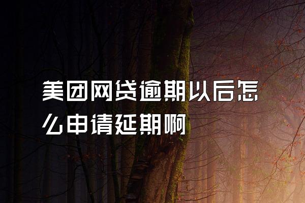 美团网贷逾期以后怎么申请延期啊