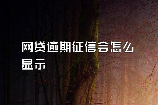 网贷逾期征信会怎么显示