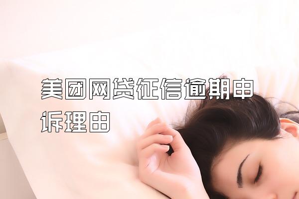 美团网贷征信逾期申诉理由