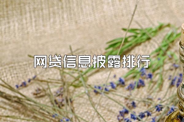 网贷信息披露排行