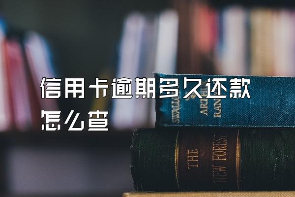 信用卡逾期多久还款怎么查