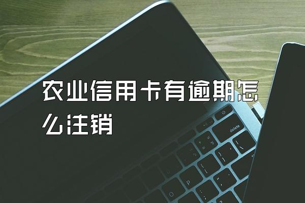 农业信用卡有逾期怎么注销