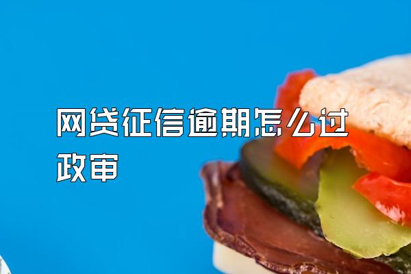 网贷征信逾期怎么过政审