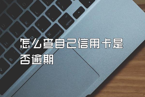 怎么查自己信用卡是否逾期