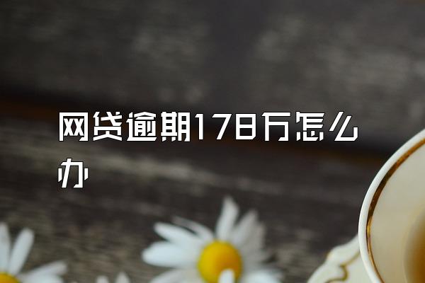 网贷逾期178万怎么办