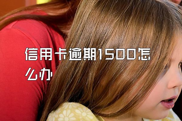 信用卡逾期1500怎么办