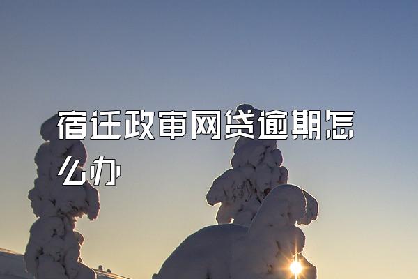 宿迁政审网贷逾期怎么办