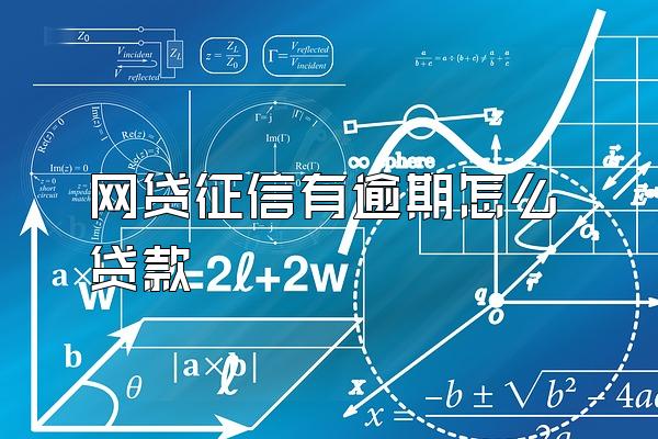 网贷征信有逾期怎么贷款