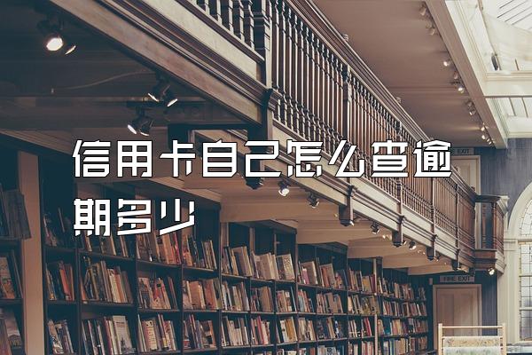 信用卡自己怎么查逾期多少