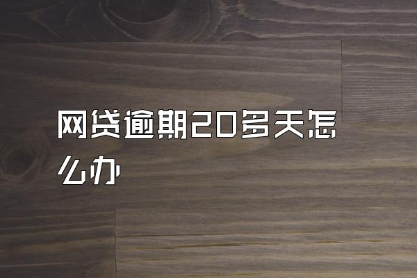 网贷逾期20多天怎么办