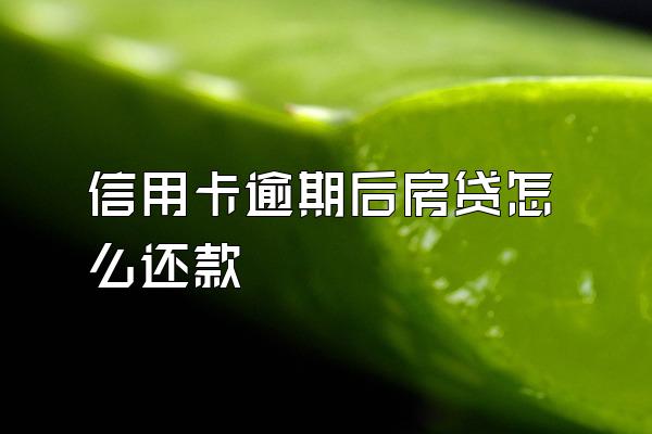 信用卡逾期后房贷怎么还款