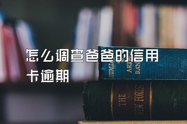 怎么调查爸爸的信用卡逾期