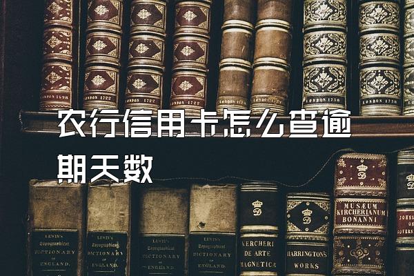 农行信用卡怎么查逾期天数