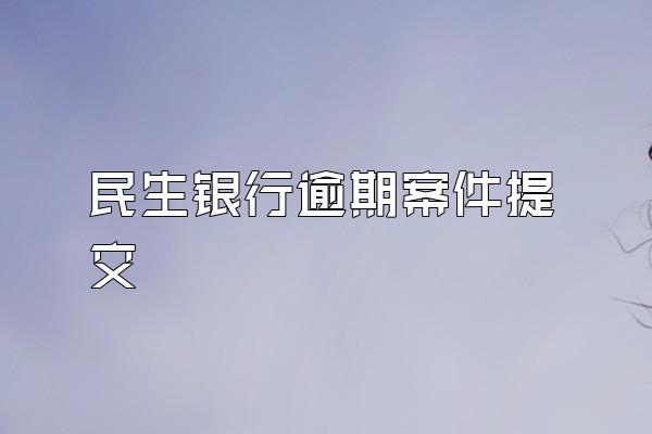 民生银行逾期案件提交