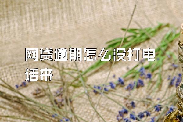 网贷逾期怎么没打电话来